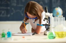 Новая украинская школа: утвержден стандарт 5-х - 9-х классов