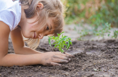Увлекательная экология для младших школьников  