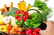 Пищевые технологии - специальность уровня «магистр»