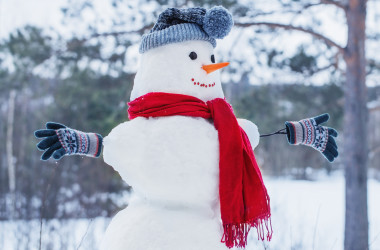 Двух школьных зимних каникул не будет, - МОН 