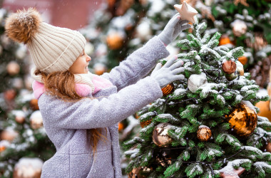 Новогодние праздники в школах пройдут без гостей