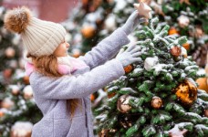 Новогодние праздники в школах пройдут без гостей  