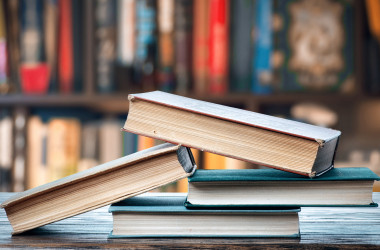 В Украине приостановлено рассмотрение дел о плагиате