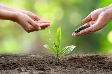 Подростков приглашают в экологический онлайн-лагерь