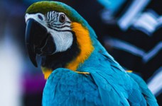 ЗНО по биологии: накануне тестирования