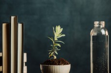 Состоялось внешнее независимое оценивание по биологии