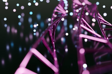 Опубликованы ответы на тест ЗНО по биологии