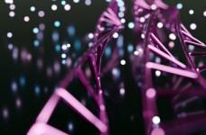 Опубликованы ответы на тест ЗНО по биологии