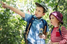 Стандарты для экскурсий должны быть обязательными