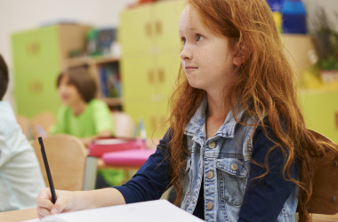 В Украине ввели внеплановые проверки школ 