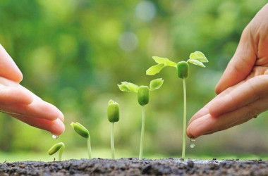 Молодежь приглашают к участию в проекте UPSHIFT