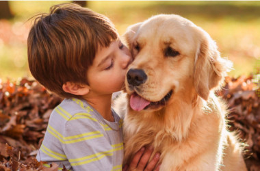 Школы приглашают провести Международный урок доброты