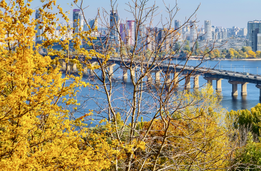 Киев готовится к переходу в «красную» зону 