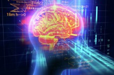 Школьница из Киева победила в соревновании по нейронаукам