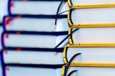 Книги лидируют среди предпочтений украинцев по программе єПідтримка