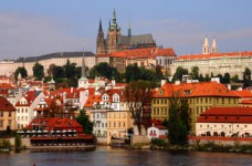 Молодым ученым предлагают стипендии на стажировку в Вене