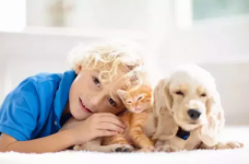 Как учителя формируют у детей любовь к животным