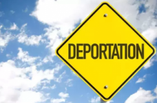В Офисе Президента объяснили, что делать в случае депортации
