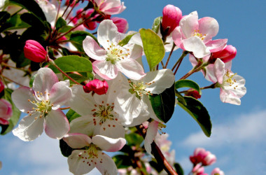 2 и 9 мая в 2022 году будут обычными рабочими днями