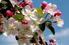 2 и 9 мая в 2022 году будут обычными рабочими днями