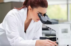 ЕС предлагает программы для студентов и ученых из Украины