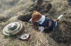 Школьников приглашают на урок по минной безопасности