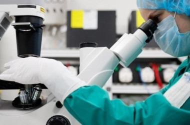 Ученых приглашают для участия в конкурсах научных работ