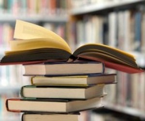 Срывов учебного процесса из-за отсутствия учебников не будет - А. Удод