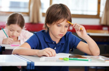 Треть школ готова к обучению офлайн, – Шкарлет  