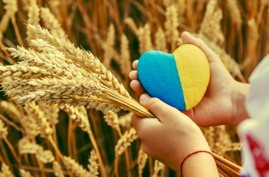 МОН предлагает посвятить первый урок несокрушимым украинцам