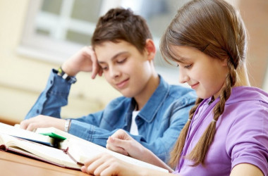 В Минобразования рассчитывают иметь 70% безопасных школ