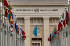 Киев включен в сеть обучающихся городов