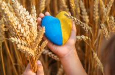 Все об образовании детей-беженцев за границей