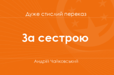 «За сестрою» Андрій Чайковський (дуже стислий переказ)
