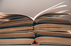 Сталкивались ли вы с применением русского языка в обучении?