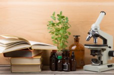 Как готовиться к выполнению заданий НМТ по биологии