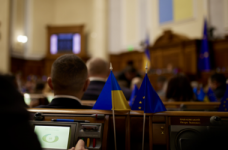 Фракция Порошенко заблокировала решение относительно модели НМТ