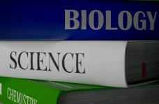 Высокоцитированные публикации украинских авторов 2022. Scopus