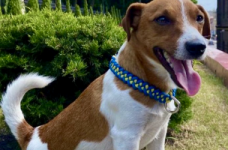 Школам подготовили уроки по минной безопасности