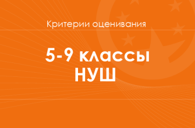 Оценивание результатов обучения учеников 5–9 классов НУШ 