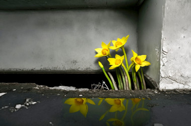 Стратегия восстановления образования Луганской области