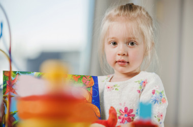 Особенности дошкольного образования в странах Европы