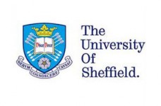 Университет Шеффилда в Украине