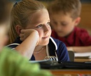 А учить мы все-таки - будем?