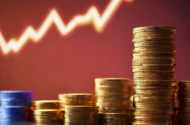 Цены на образовательные услуги за год выросли на 12,8%