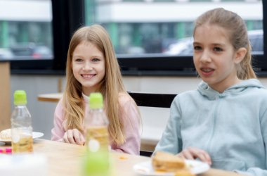 Украина получила 18 млн грн на поддержку школьного питания