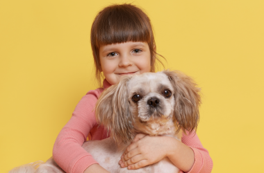 Дошкольников приглашают на занятия доброты