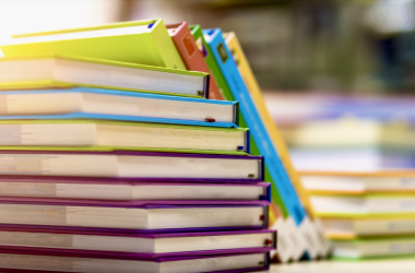 65 учебников для 11-го класса получили гриф МОН