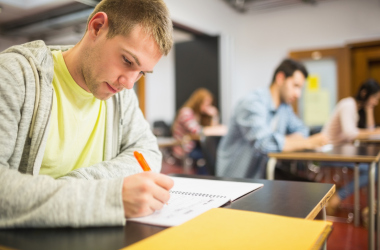 Нужно ли проводить тестирование для выпускников высших учебных заведений?