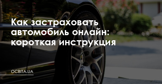 Как застраховать автомобиль онлайн: короткая инструкция – Освіта.UA